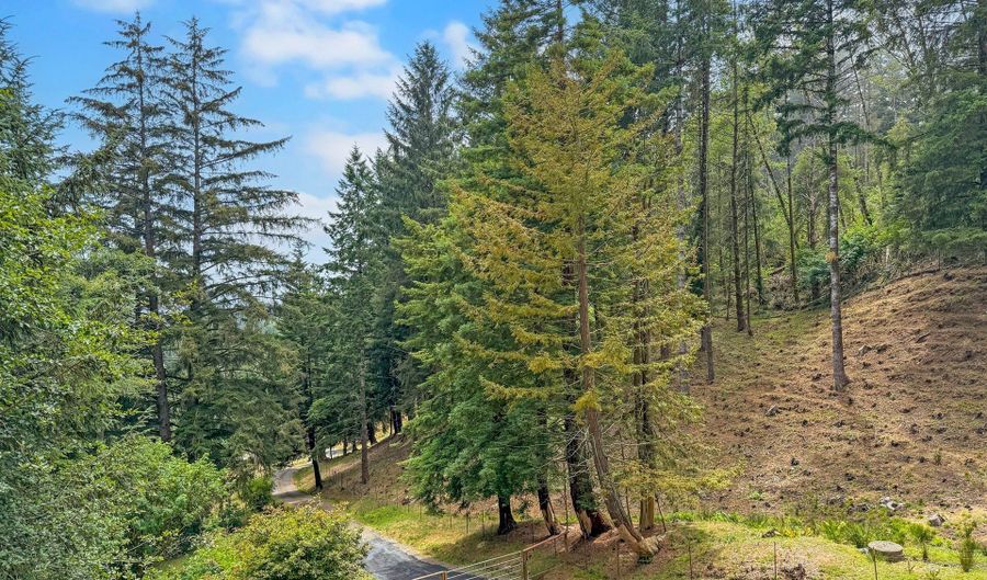 20313 WHALESHEAD Rd, Brookings, OR 97415 - 4 Beds, 2 Bath