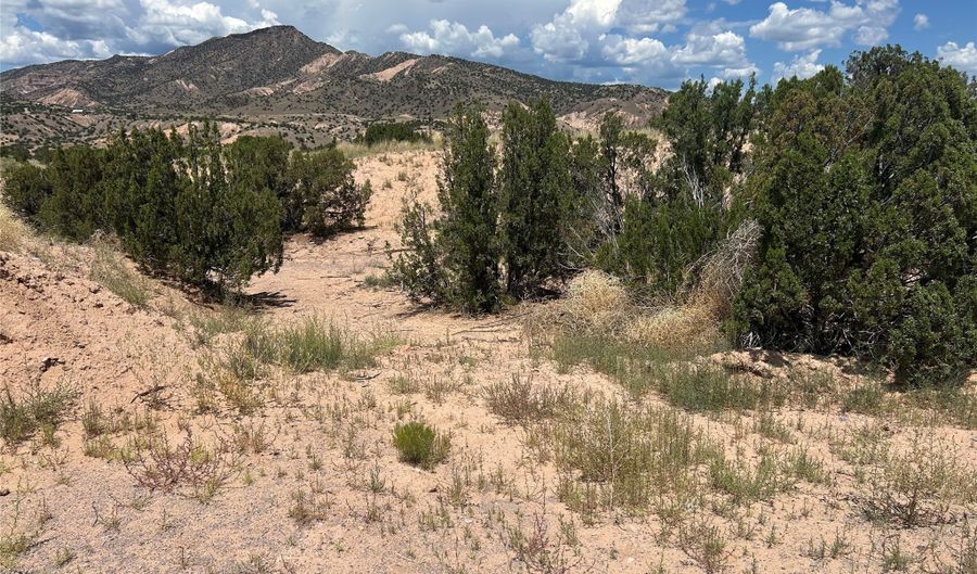 Block 24 Lot 19 Cottonwood ln, Abiquiu, NM 87510 - 0 Beds, 0 Bath