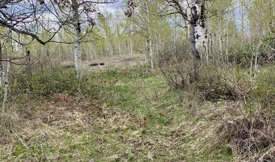 Tbd Aspen Heights Drive, Ashton, ID 83420 - 0 Beds, 0 Bath