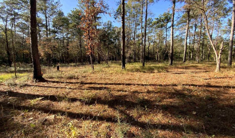 10 Drinkard Rd, Bay Minette, AL 36507 - 0 Beds, 0 Bath