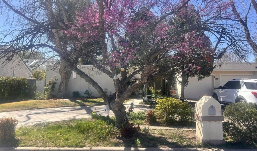 1307 Lera Cir, Carlsbad, NM 88220 - 3 Beds, 2 Bath