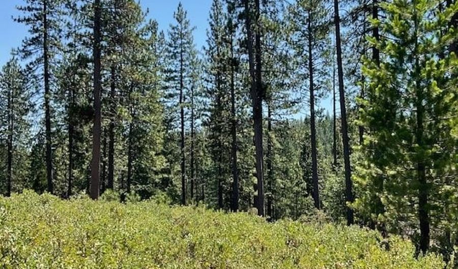 1943 Lightning Ln, Arnold, CA 95223 - 0 Beds, 0 Bath