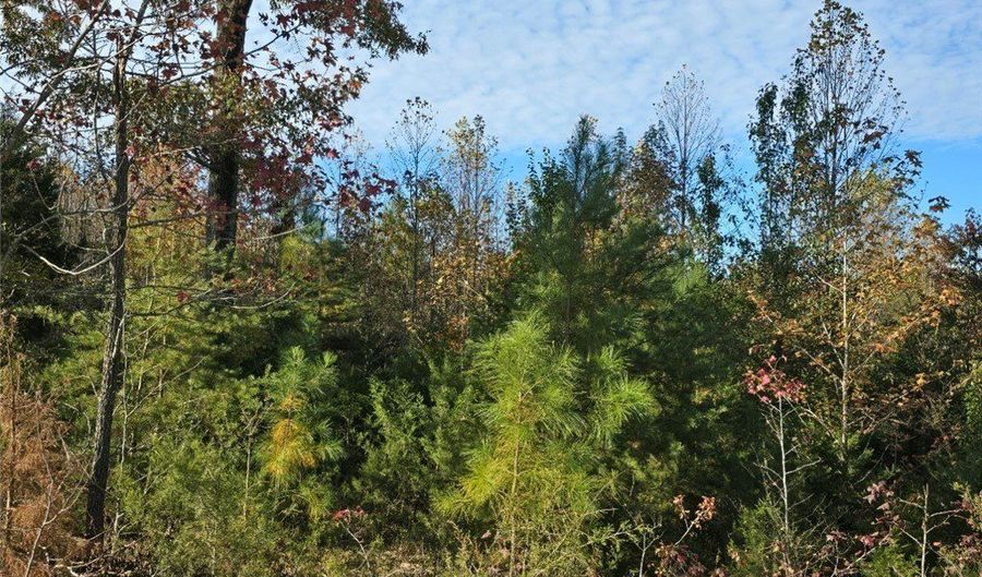 11100 Patrick Henry Hwy, Amelia, VA 23002 - 2 Beds, 1 Bath