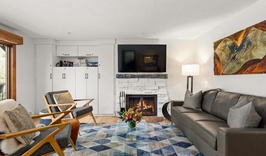 1020 E Durant Ave 301, Aspen, CO 81611 - 2 Beds, 2 Bath