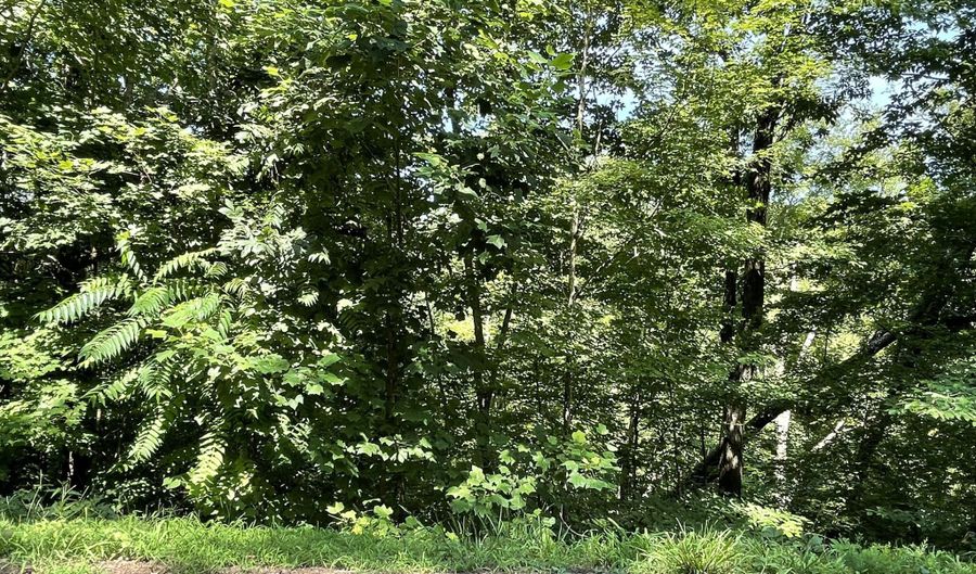 Stoneway Court lot 926, Baneberry, TN 37890 - 0 Beds, 0 Bath