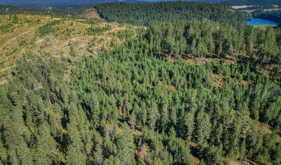 L1 Smokewood Dr, Athol, ID 83801 - 0 Beds, 0 Bath