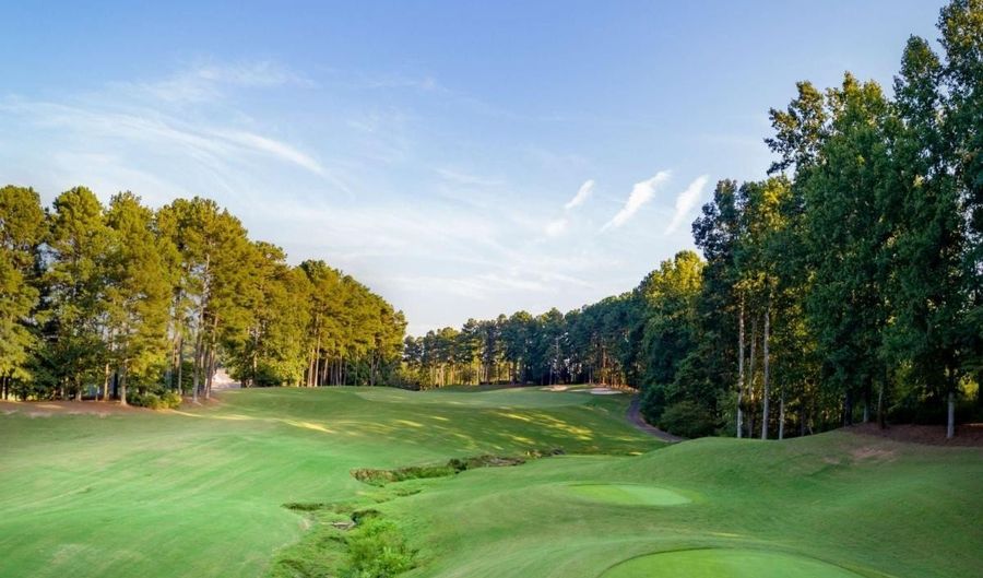 120 Hawks Ct, Ball Ground, GA 30107 - 0 Beds, 0 Bath