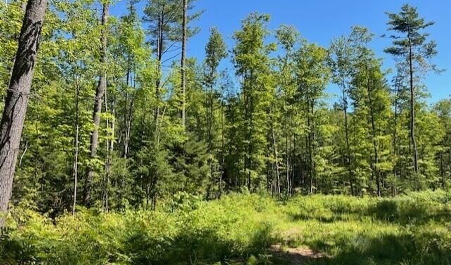 Sawyer Notch Road lot 045, Andover, ME 04216 - 0 Beds, 0 Bath