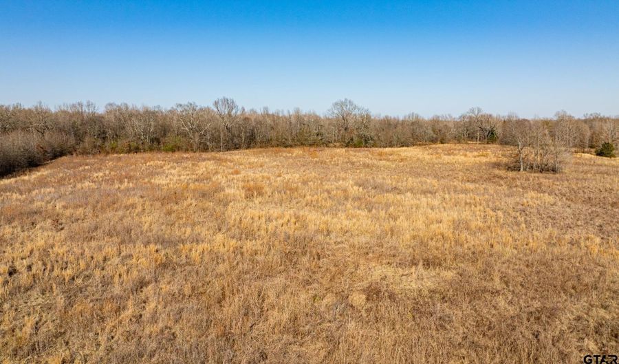 TBD CR 4650, De Kalb, TX 75559 - 0 Beds, 0 Bath