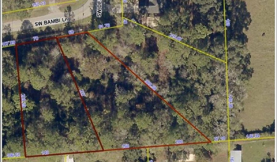 122 SW BAMBI Ln, Lake City, FL 32025 - 0 Beds, 0 Bath