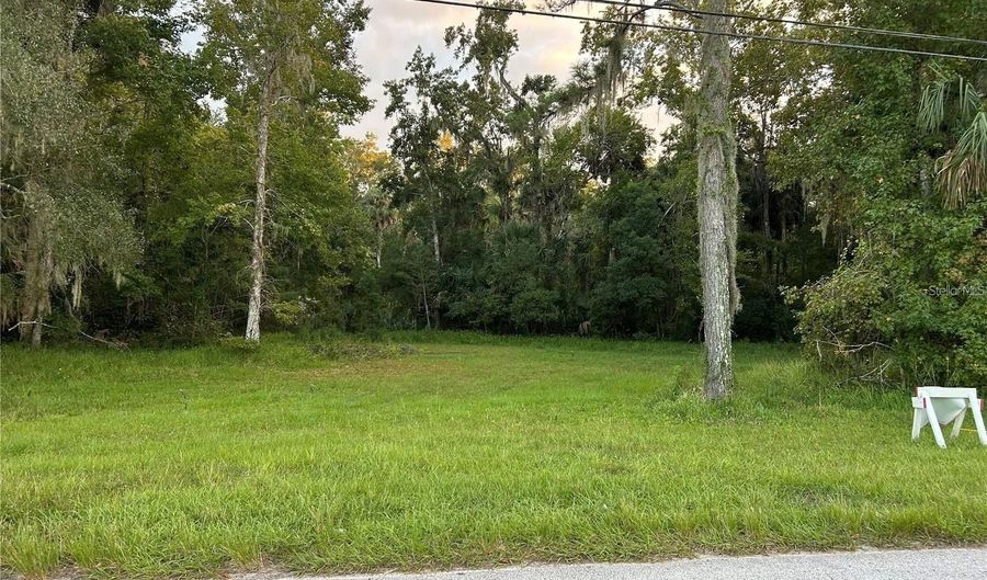 24916 BUTLER St, Astor, FL 32102 - 0 Beds, 0 Bath