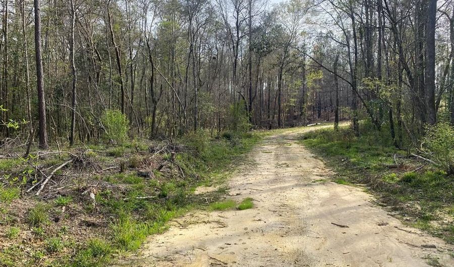 02 County Road 6650, Banks, AL 36005 - 0 Beds, 0 Bath