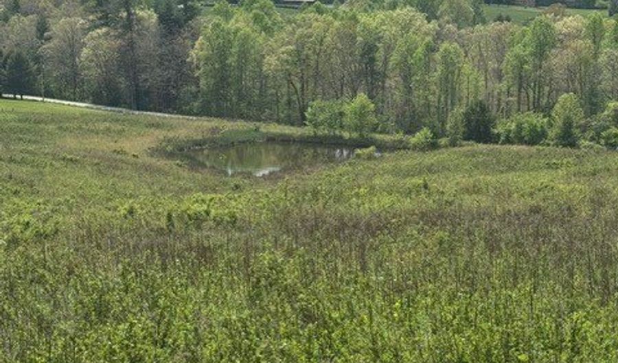 Sam Smith Rd, Allardt, TN 38504 - 0 Beds, 0 Bath