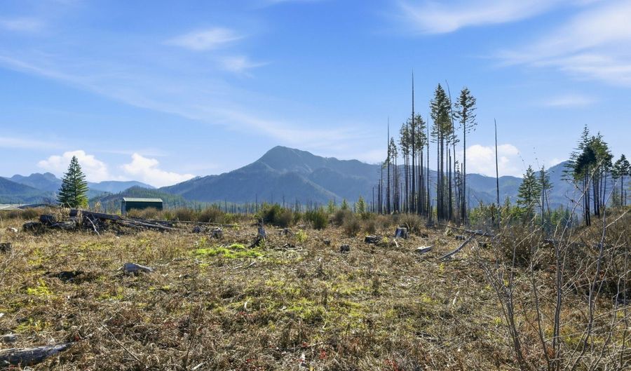53189 MCKENZIE Hwy, Blue River, OR 97413 - 0 Beds, 0 Bath