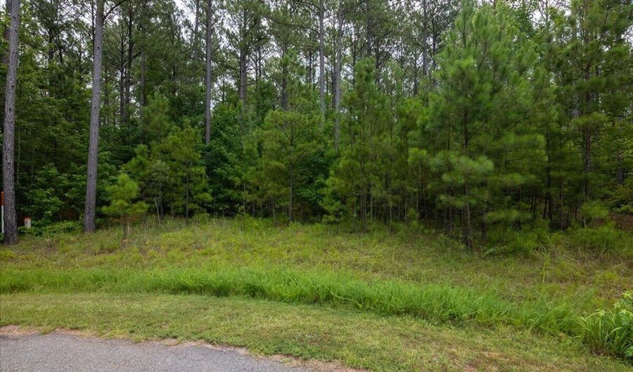Lot 114 Dock Side Lane, Lincolnton, GA 30817 - 0 Beds, 0 Bath
