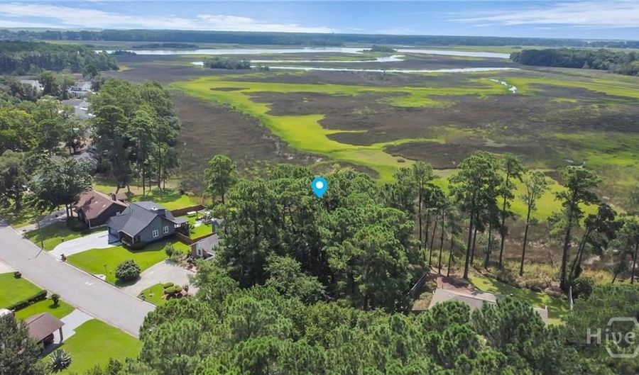 209 Runaway Point Rd, Savannah, GA 31404 - 0 Beds, 0 Bath