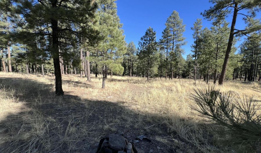 Lot C County Road N2147, Alpine, AZ 85920 - 0 Beds, 0 Bath