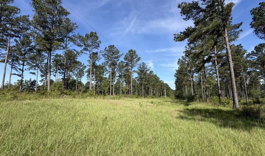 0 S County Road 33, Ashford, AL 36312 - 0 Beds, 0 Bath