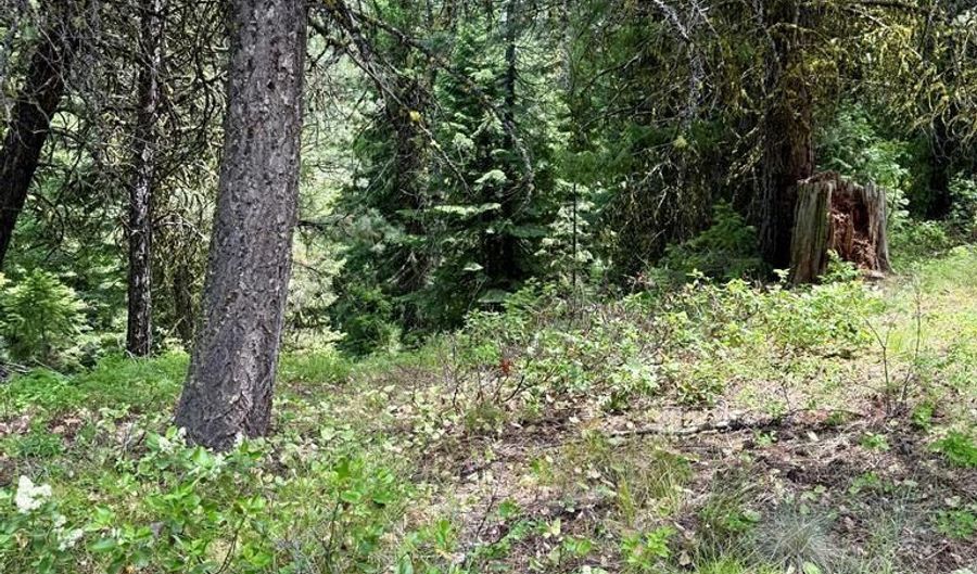 53 Landale Ln 37, Cascade, ID 83611 - 0 Beds, 0 Bath