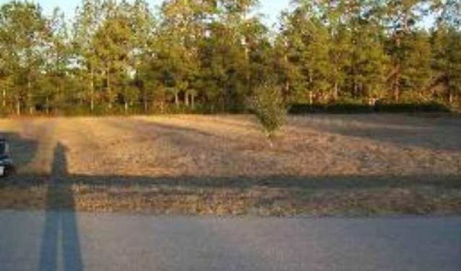 Lot 5 Twin Oaks, Bristol, FL 32321 - 0 Beds, 0 Bath