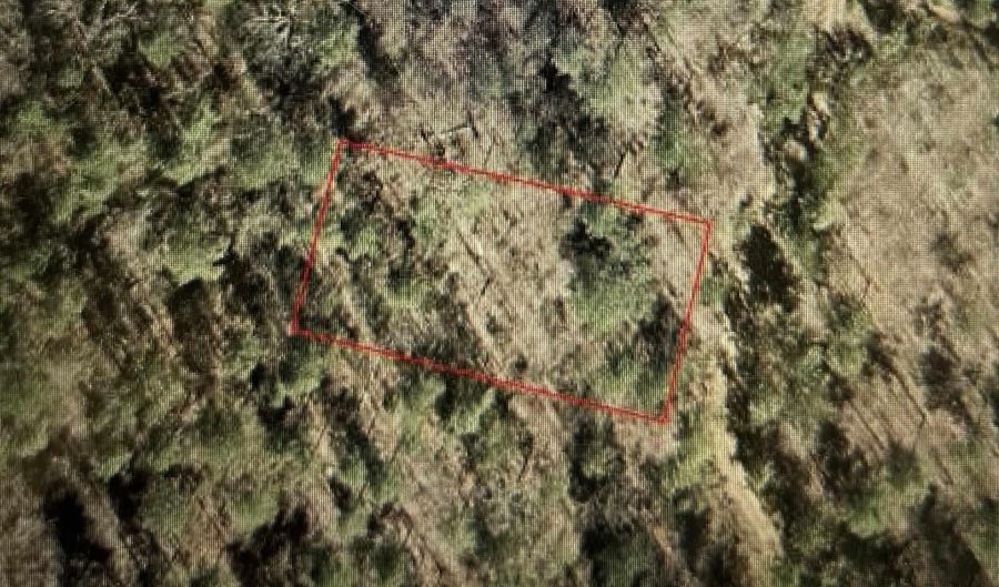 GEMINI CIRCLE lot 53, Alpine, AL 35014 - 0 Beds, 0 Bath