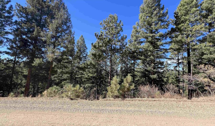 Back Basin Rd lot 156, Angel Fire, NM 87710 - 0 Beds, 0 Bath
