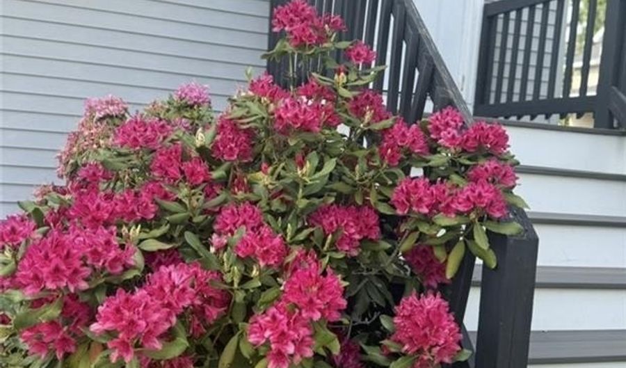 19 Marques St, Cumberland, RI 02864 - 3 Beds, 2 Bath