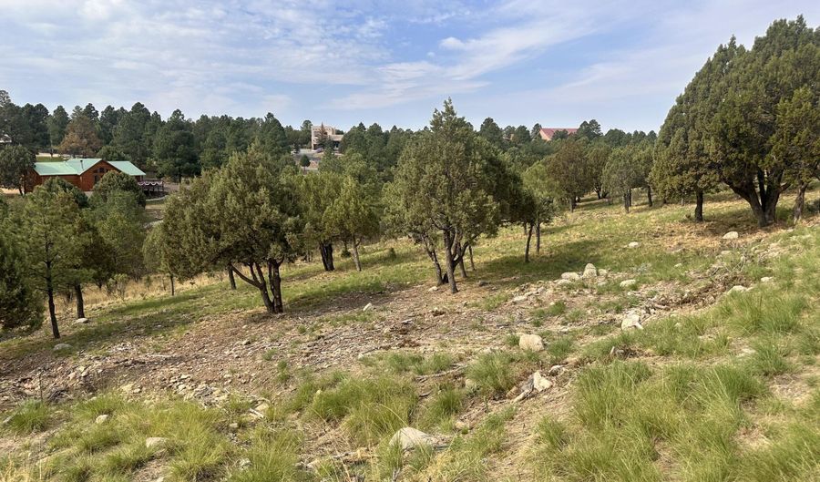 Lot 9 150 Mira Monte, Alto, NM 88312 - 0 Beds, 0 Bath