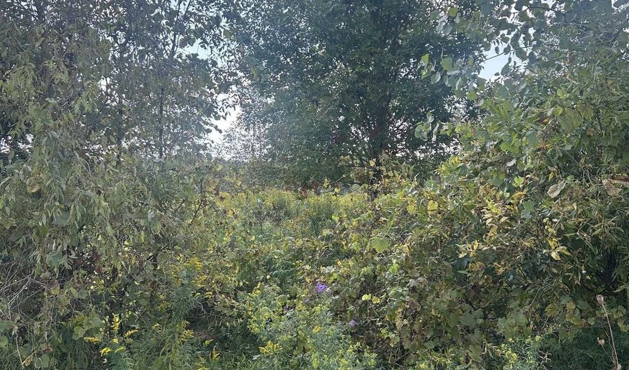 4 Ashley, Allenton, MI 48002 - 0 Beds, 0 Bath