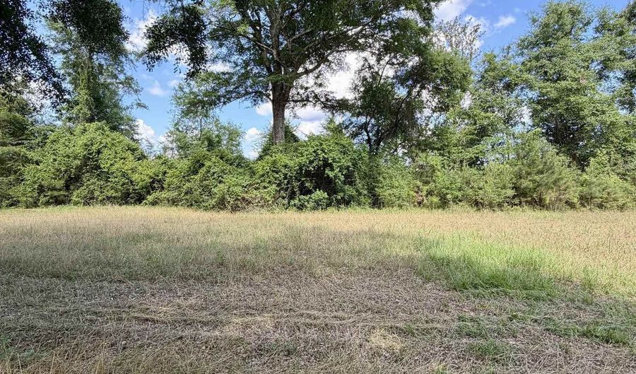 Green Town Road, Bay Minette, AL 36507 - 0 Beds, 0 Bath