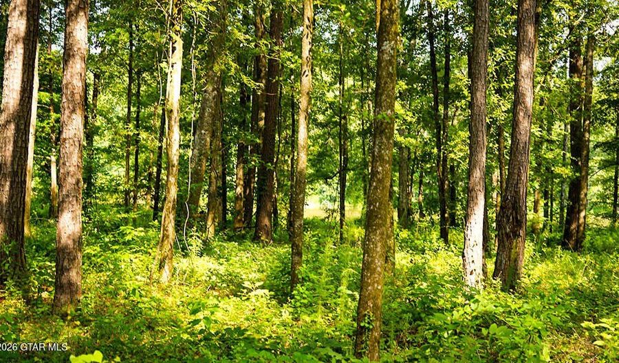 Cypress Pointe Drive lot 3, Brooksville, MS 39739 - 0 Beds, 0 Bath
