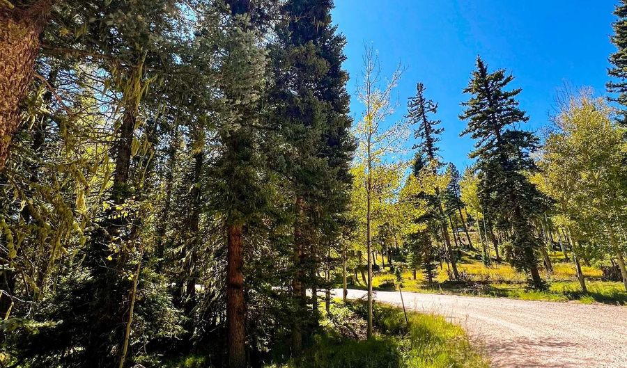 Calle de los Indios lot 71, Angel Fire, NM 87710 - 0 Beds, 0 Bath