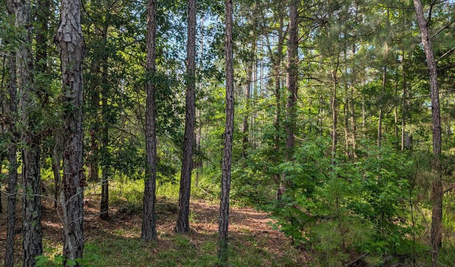 Lot 1 Marshall Road, Appling, GA 30802 - 0 Beds, 0 Bath