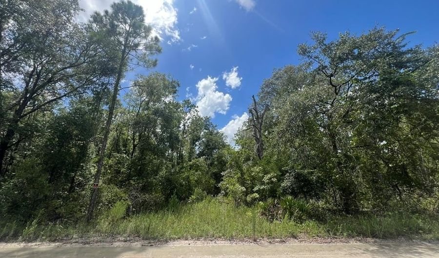 Lot 11 11th Ave, Bell, FL 32619 - 0 Beds, 0 Bath
