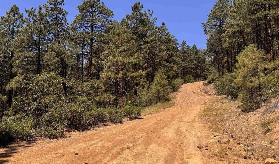TBD Unit 3 Forest Lakes, Bayfield, CO 81122 - 0 Beds, 0 Bath