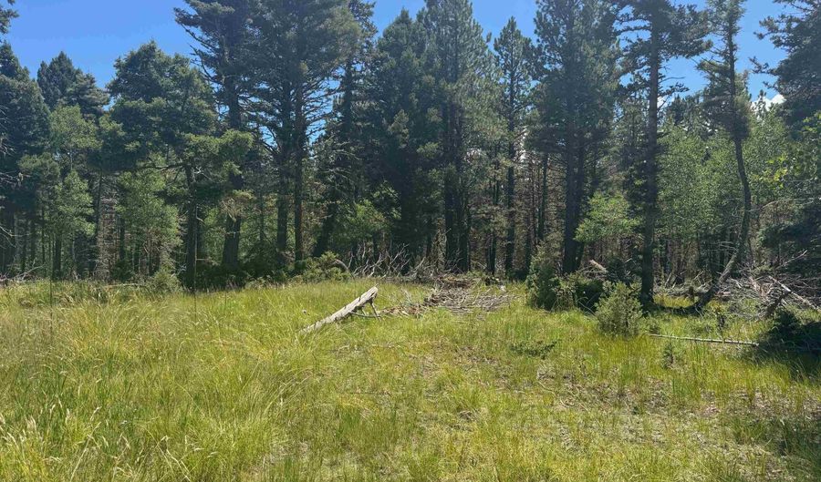 Calle de los Indios lot 73, Angel Fire, NM 87710 - 0 Beds, 0 Bath