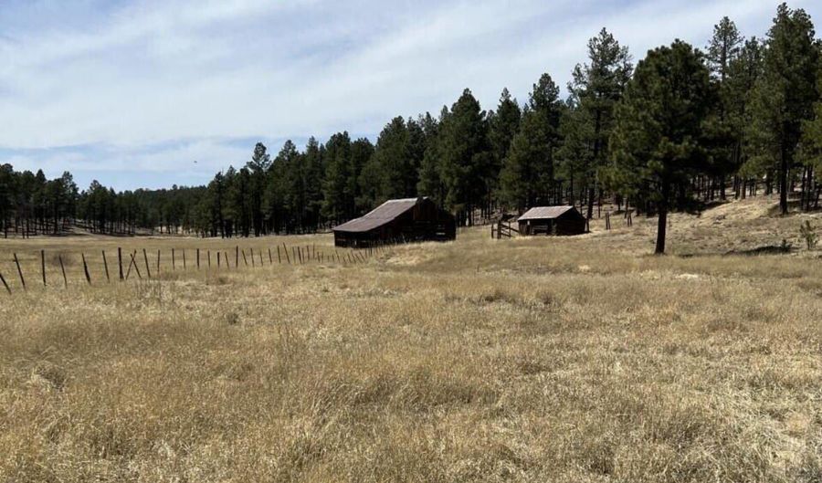 Lot B Forest Road 26, Alpine, AZ 85920 - 0 Beds, 0 Bath