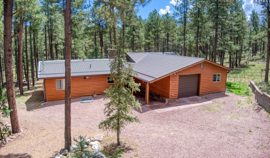 2 County Road N2148, Alpine, AZ 85920 - 3 Beds, 3 Bath