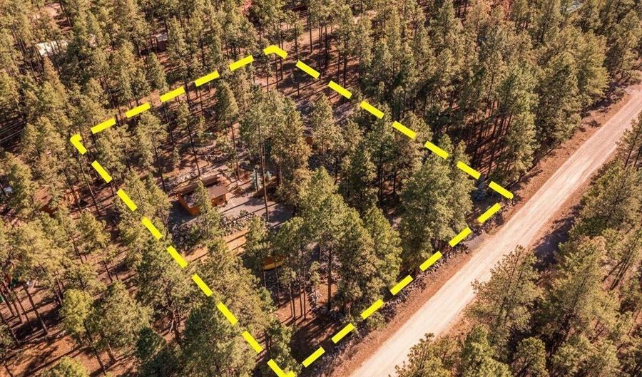 24 County Rd 2267, Alpine, AZ 85920 - 3 Beds, 3 Bath