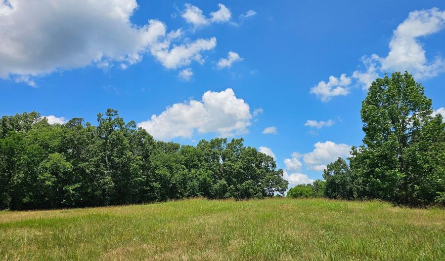 OLD FERRY Rd, Bath Springs, TN 38311 - 0 Beds, 0 Bath