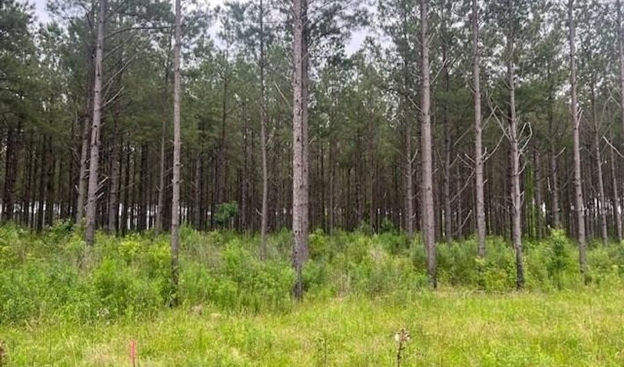 2423 B East Lincoln Rd, Brookhaven, MS 39601 - 0 Beds, 0 Bath