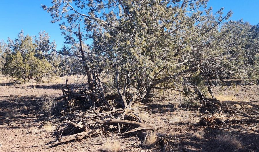 2113 W Skyline Dr, Ash Fork, AZ 86320 - 0 Beds, 0 Bath