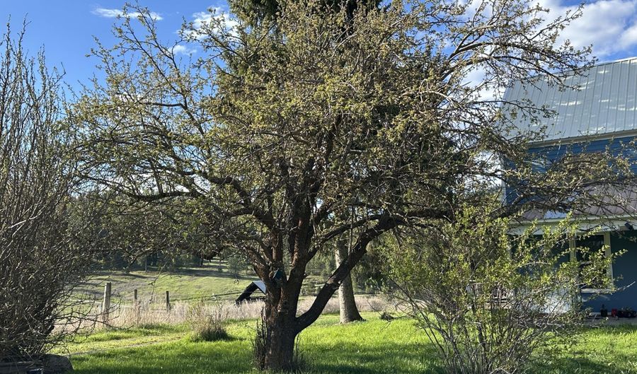 2288 CEDONIA-ADDY Rd B, Addy, WA 99101 - 3 Beds, 1 Bath