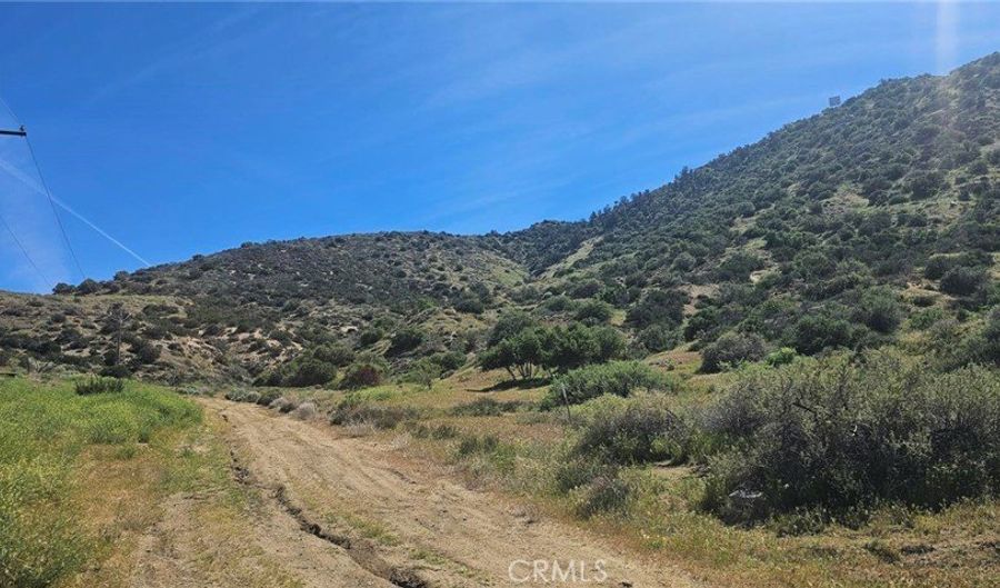 Esada Wy/Rosen Ln, Acton, CA 93550 - 0 Beds, 0 Bath