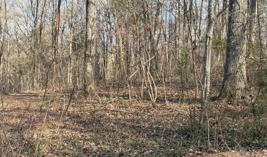 13356 Ellison Trce, Birchwood, TN 37308 - 0 Beds, 0 Bath
