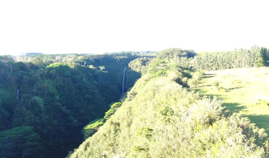 KAIWIKI HOMESTEAD RD, Hakalau, HI 96710 - 0 Beds, 0 Bath