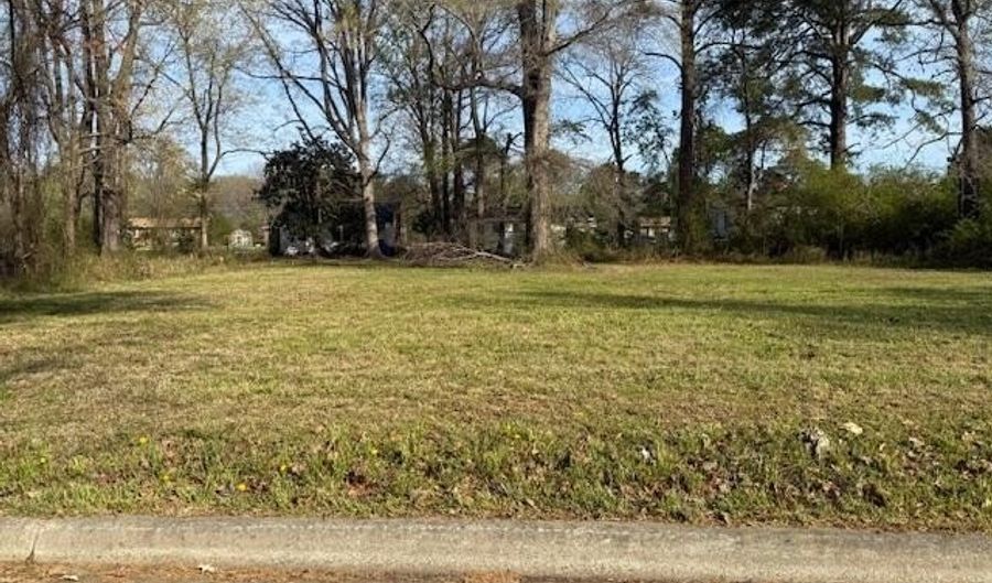 Hill Street, Ahoskie, NC 27910 - 0 Beds, 0 Bath