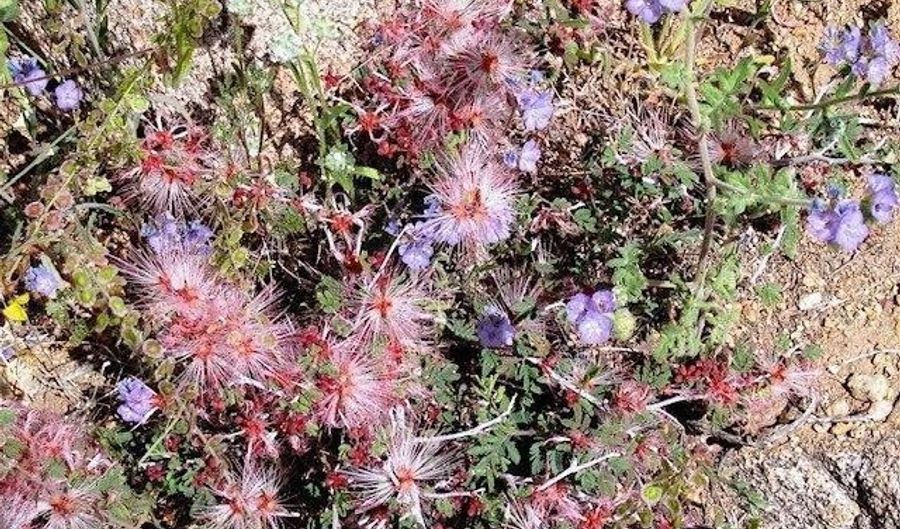 S Bent Spur Road, Congress, AZ 85332 - 0 Beds, 0 Bath