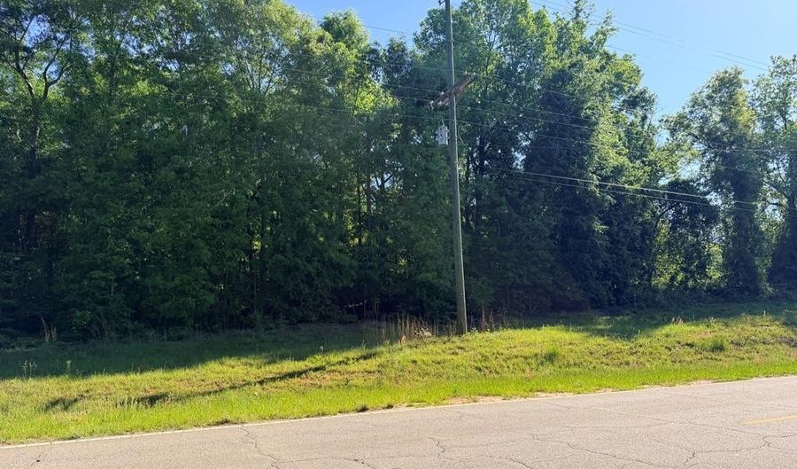 26 27 County Road 97, Abbeville, AL 36310 - 0 Beds, 0 Bath