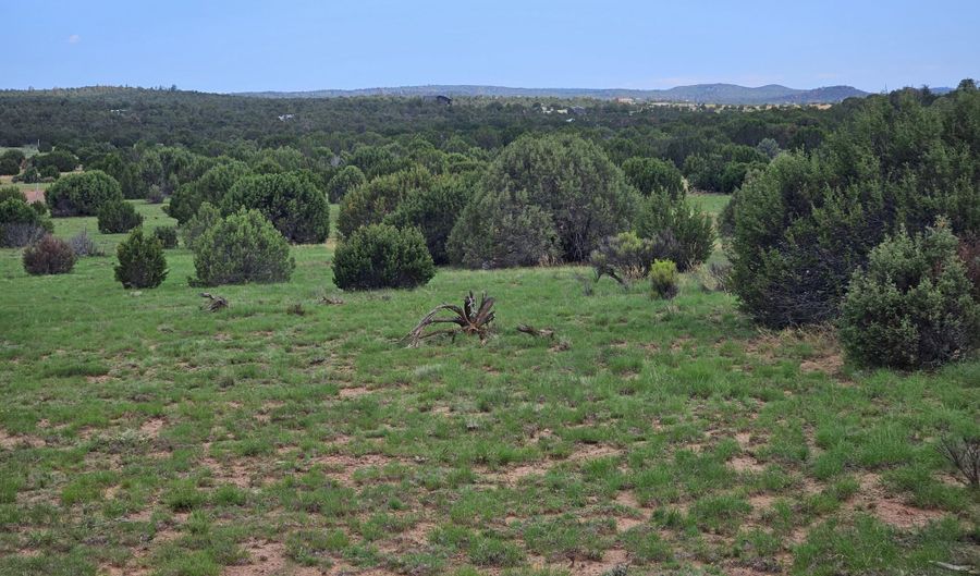 Birdwing Lane, Clay Springs, AZ 85923 - 0 Beds, 0 Bath